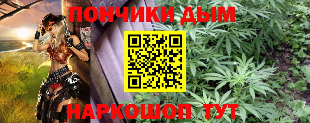 Шишки марихуана план  Вход с VPN  Ирбит  Марихуана индика  Марихуана SATIVA & INDICA 